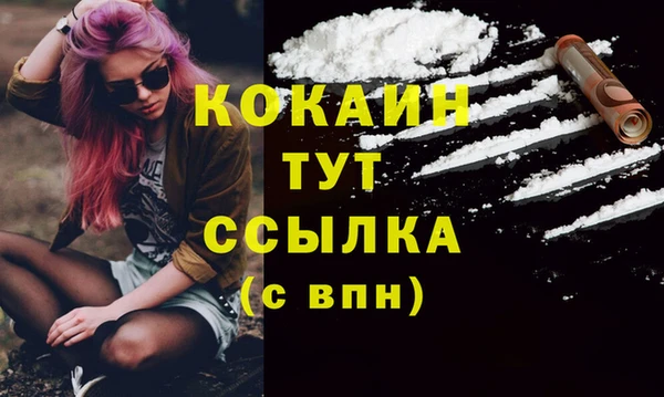 шишки Балабаново