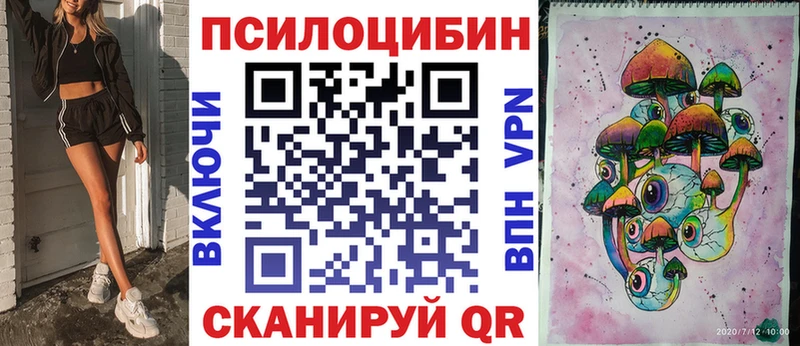 Псилоцибиновые грибы Psilocybe Губаха